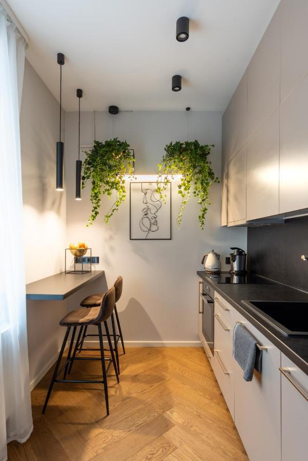 Old Town Apartment L Self Check In Wilna Exterior foto
